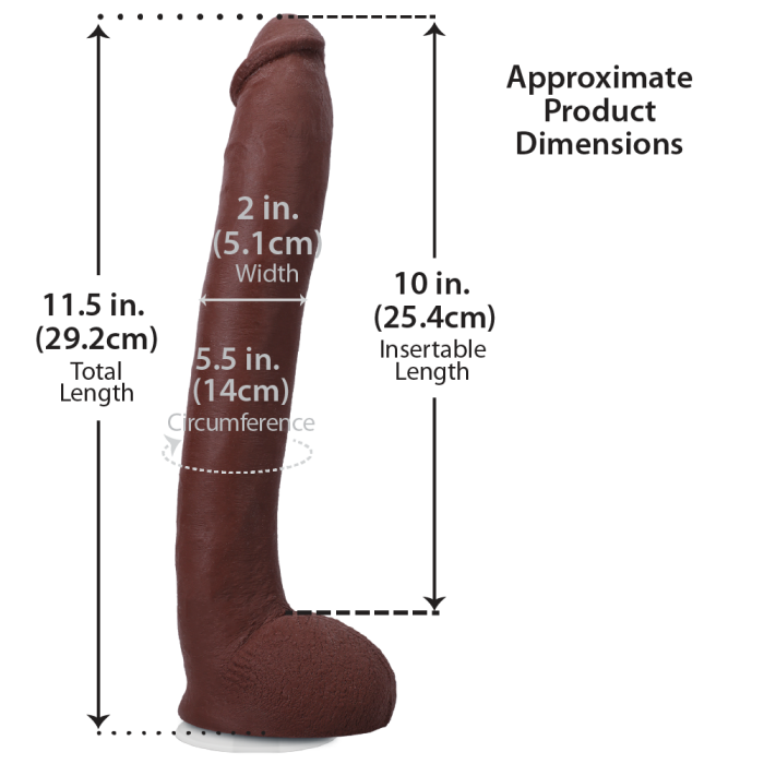 doc-johnson-signature-cocks-hollywood-cash-gode-28-cm-chocolat-ventouse image 3