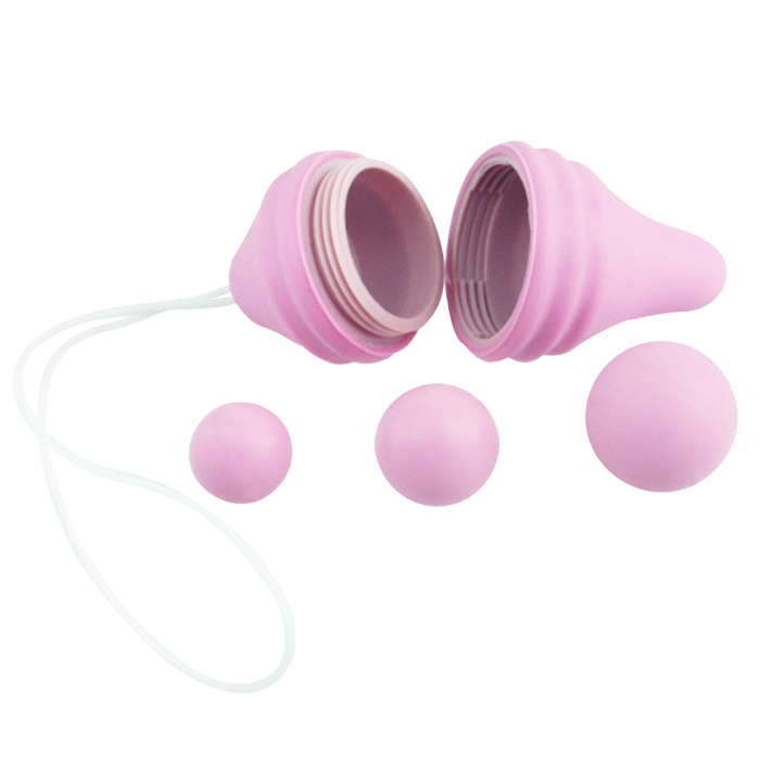 femintimate-pelvic-concept-kit-r-ducation-p-rin-e-rose image 2