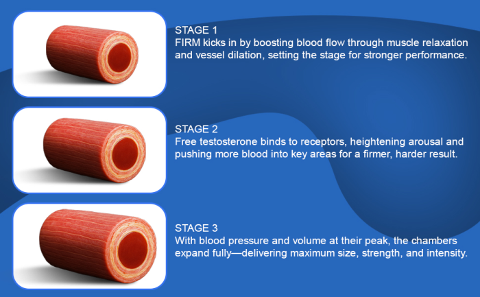 intimate-enhancements-firm-compl-ments-rection-60-g-lules image 5