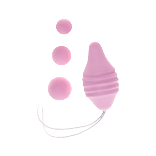 femintimate-pelvic-concept-kit-r-ducation-p-rin-e-rose image 1