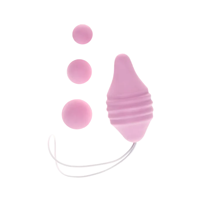 femintimate-pelvic-concept-kit-r-ducation-p-rin-e-rose image 1