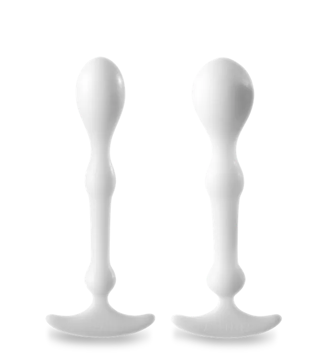 aneros-peridise-stimulateur-anal-unisexe-lot-de-2 image 1
