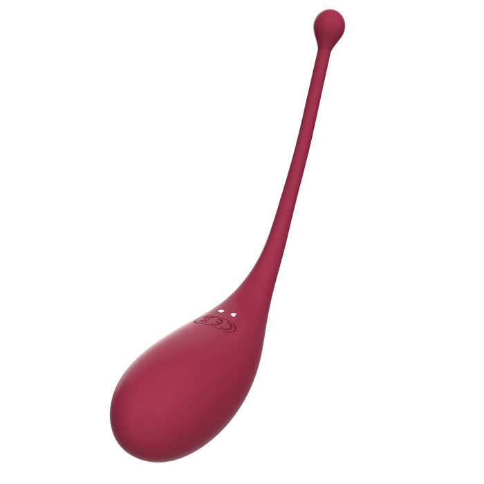 adrien-lastic-inspiration-stimulateur-clitoridien-connect-uf-bordeaux image 8