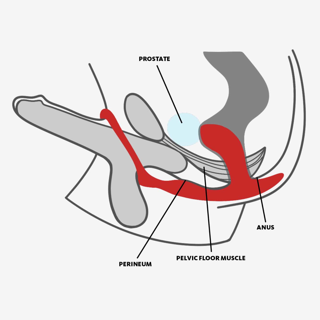 fun-factory-cock-rings-bootie-ring-anneau-p-nien-plug-ardoise image 5