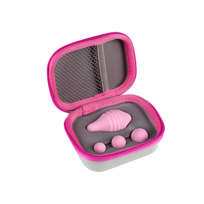 femintimate-pelvic-concept-kit-r-ducation-p-rin-e-rose image 3
