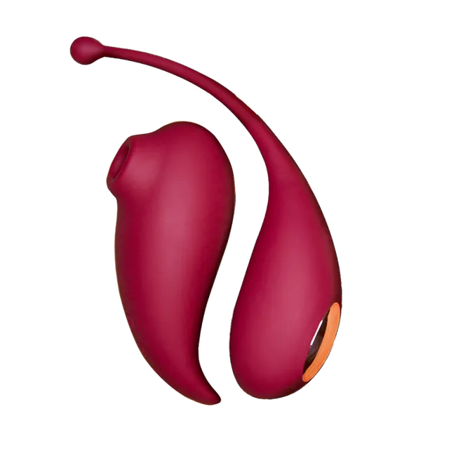 adrien-lastic-inspiration-stimulateur-clitoridien-connect-uf-bordeaux image 1