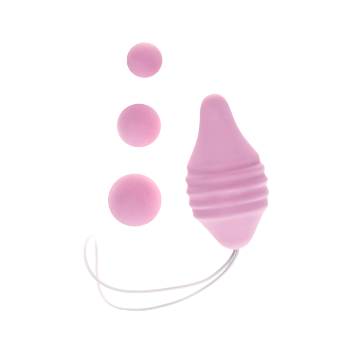 femintimate-pelvic-concept-kit-r-ducation-p-rin-e-rose image 1