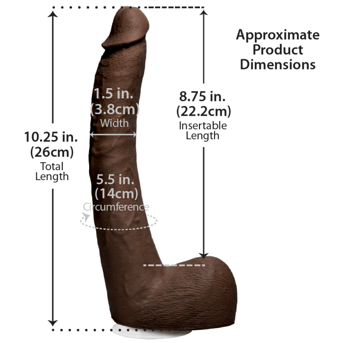 doc-johnson-signature-cocks-isiah-maxwell-gode-25-cm-chocolat image 3